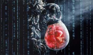 Закладка эмбриона в машину симулятора Жизни (кадр из к/ф Матрица)